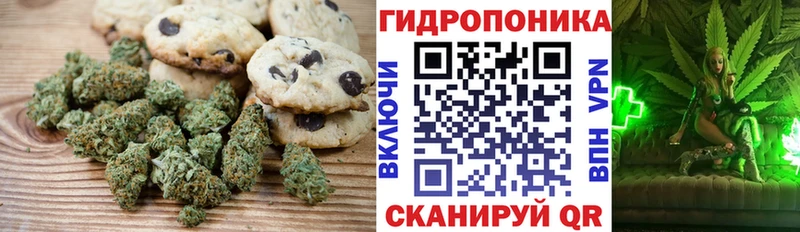 наркота  OMG как зайти  Canna-Cookies конопля  Мглин 