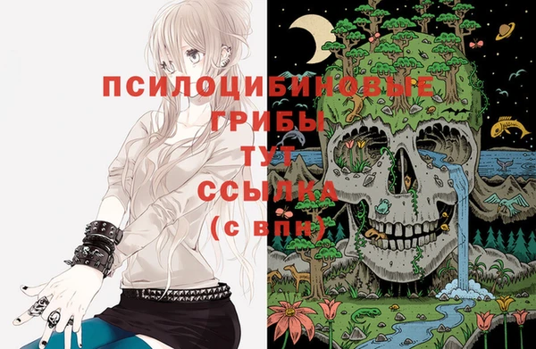 стаф Белокуриха