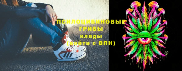гашик Беломорск