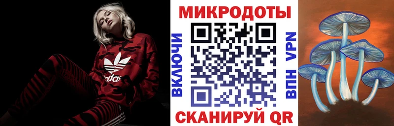 закладки  Мглин  Галлюциногенные грибы GOLDEN TEACHER 