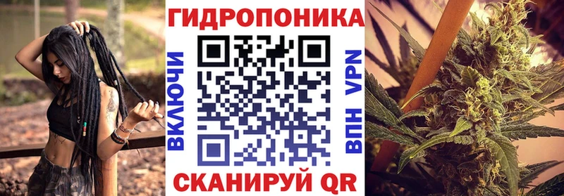 Бошки марихуана конопля OMG зеркало Мглин